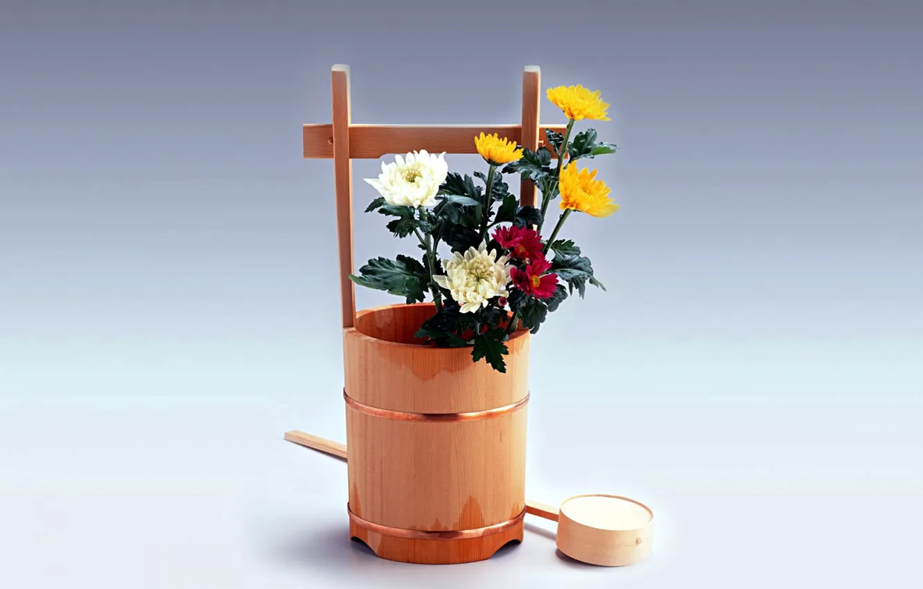 Wallpaper background, vase, chrysanthemum images for desktop, section