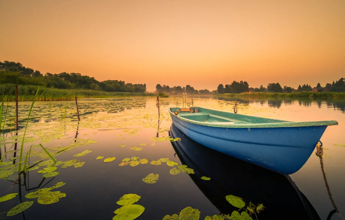 Photo wallpaper forest, the sky, leaves, sunset, fog, lake, pond, dawn