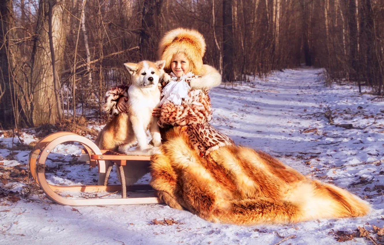 Photo wallpaper winter, hat, dog, girl, coat, sleigh