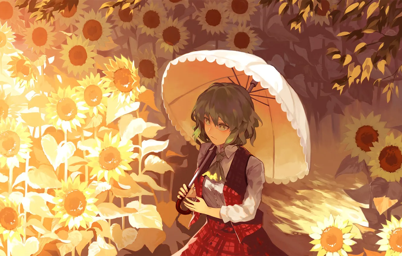 Photo wallpaper sunflowers, umbrella, green hair, Touhou Project, in the box, Project East, Kazami Yuuka, light and …