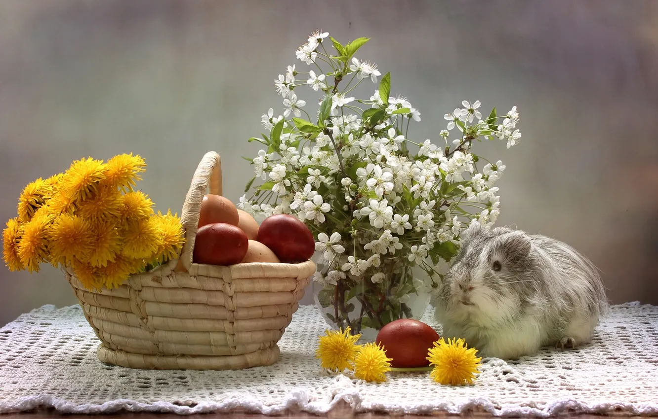 Photo wallpaper cherry, eggs, Guinea pig, dandelions, eggs