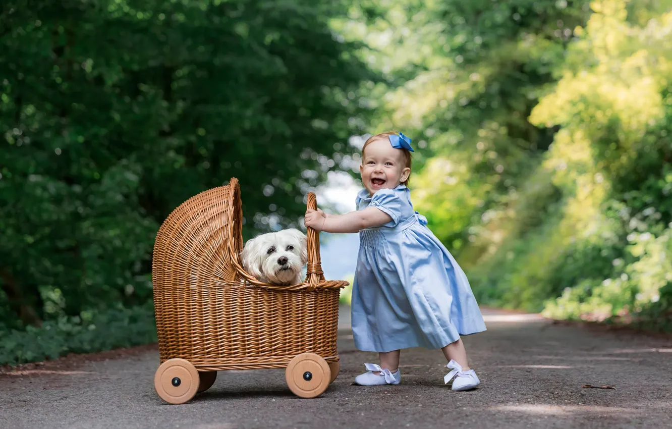 Photo wallpaper road, joy, mood, dog, dress, girl, stroller, walk