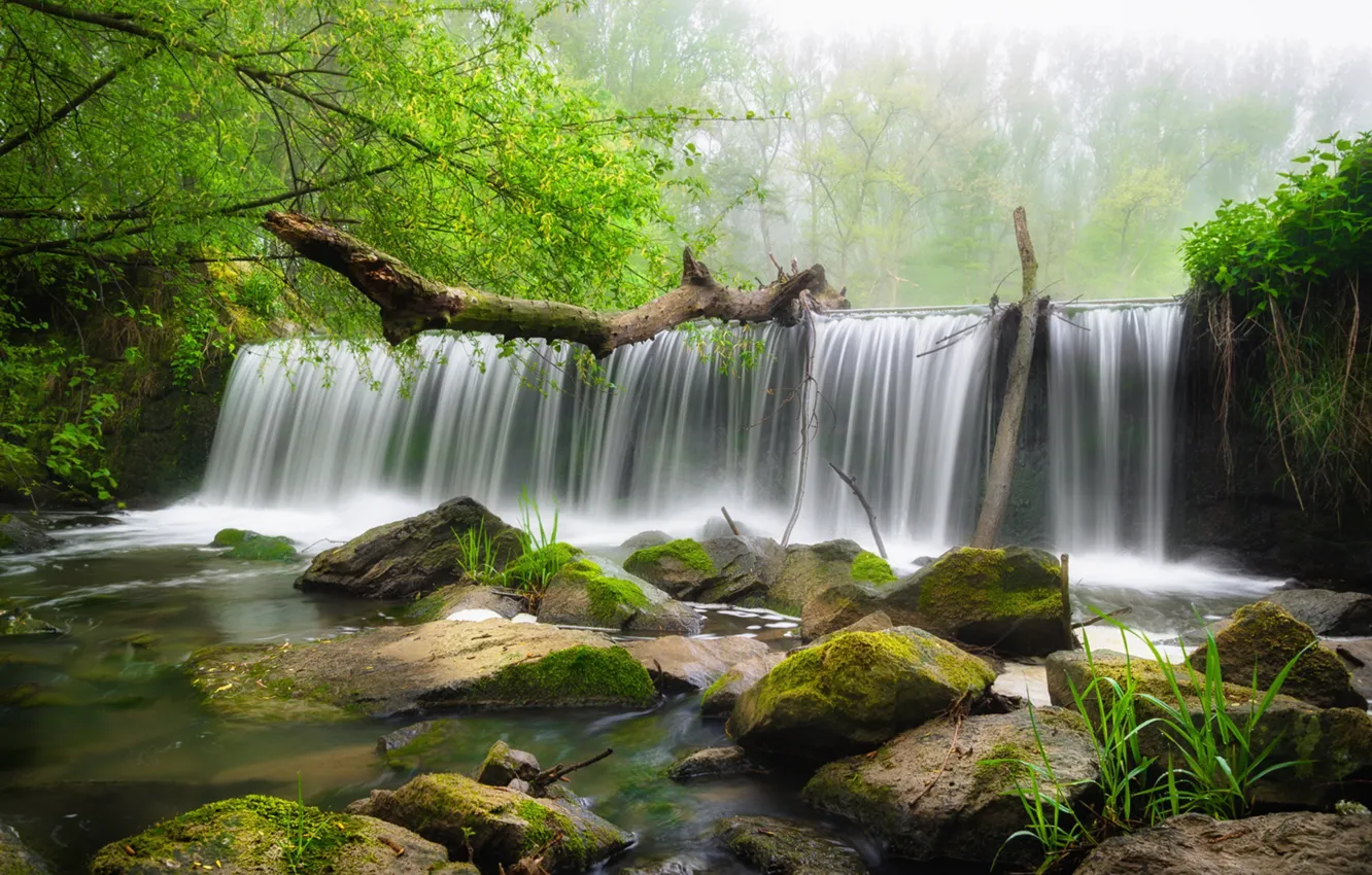 Photo wallpaper water, trees, stones, waterfall