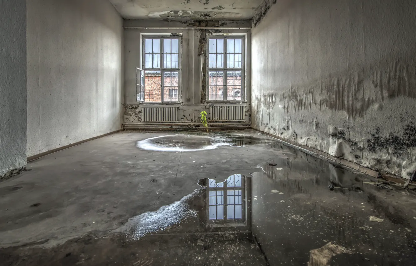 Photo wallpaper room, puddle, window, naturalism