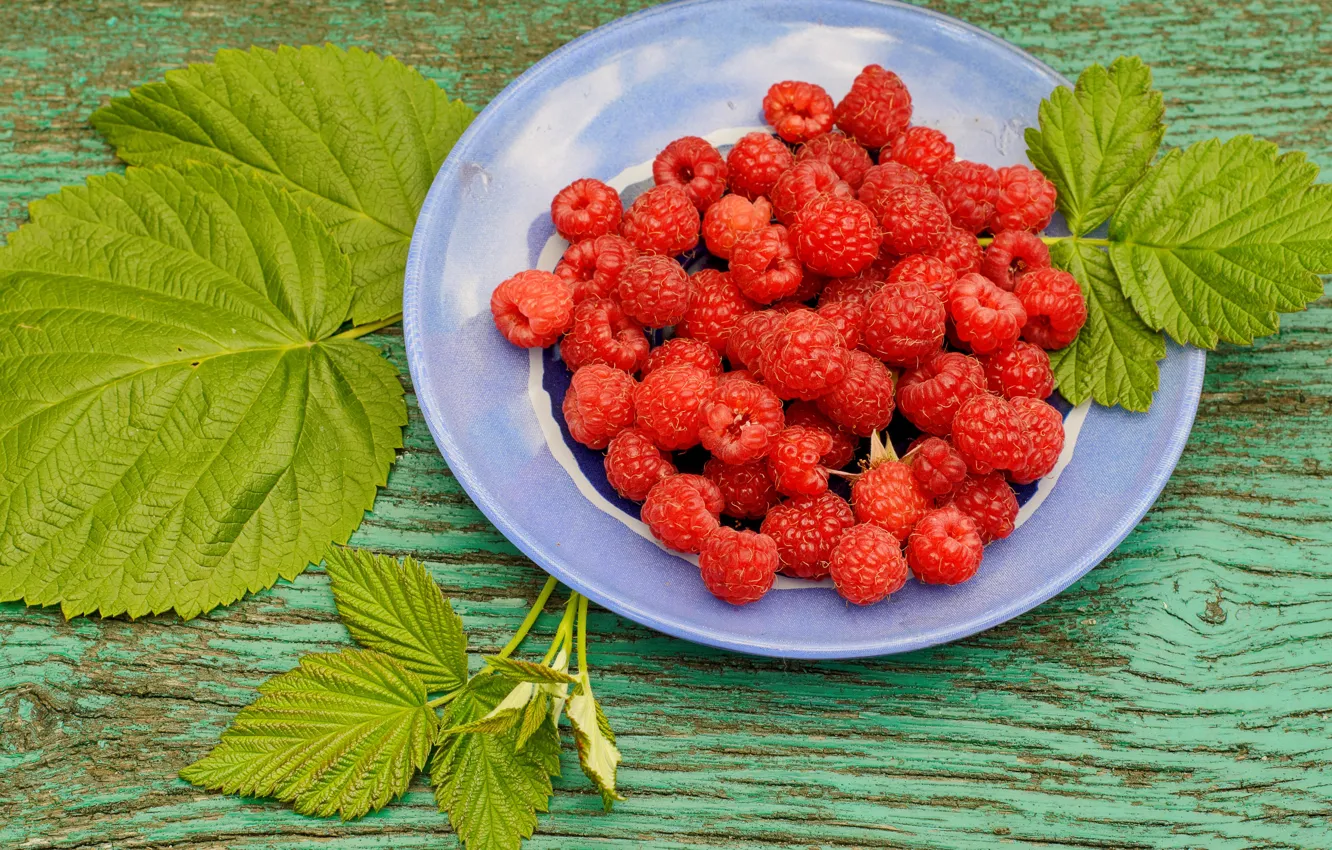 Photo wallpaper leaves, raspberry, berry, plate