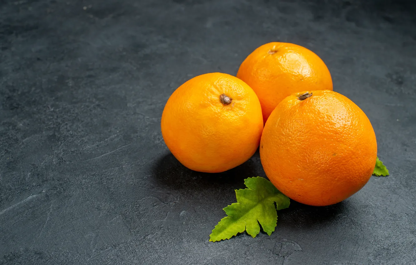 Photo wallpaper leaves, orange, citrus, grey background, trio, tangerines