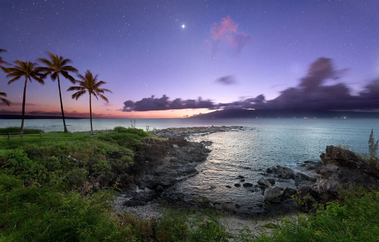 Photo wallpaper night, palm trees, the ocean, coast, stars, Hawaii, Maui
