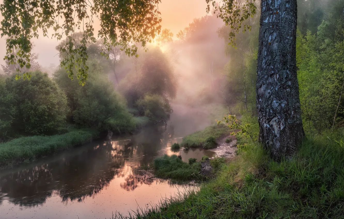 Photo wallpaper rays, landscape, nature, fog, stream, morning, river