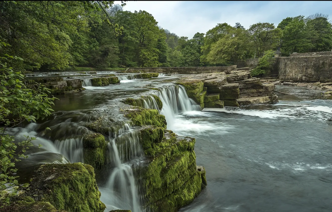 Photo wallpaper trees, nature, waterfall