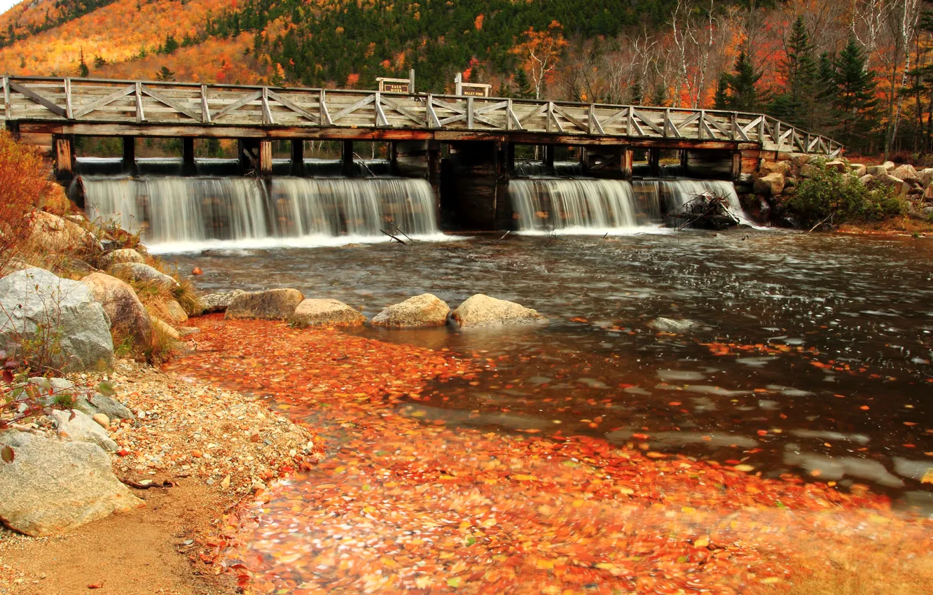 Photo wallpaper Stream, Autumn, River, Fall, Bridge, Autumn, Colors, River