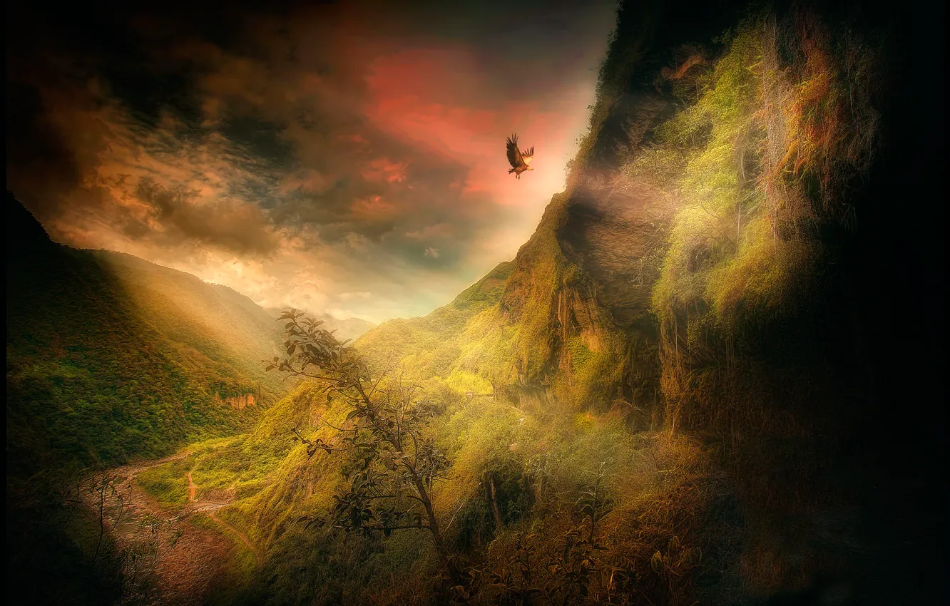 Photo wallpaper mountains, bird, treatment, The Condor of the Andes
