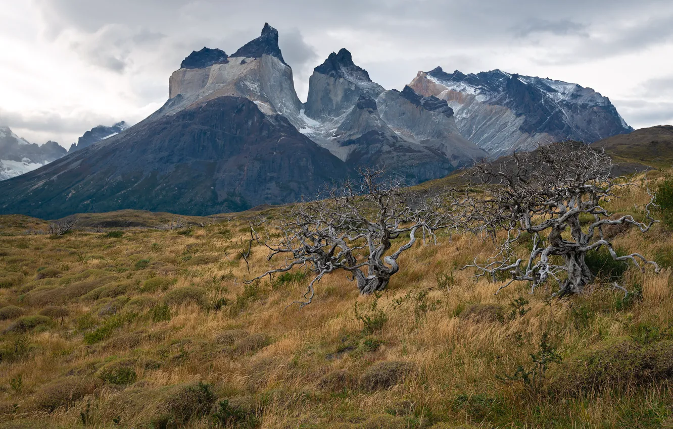 Photo wallpaper Chile, Patagonia, Torres del Paine National Park