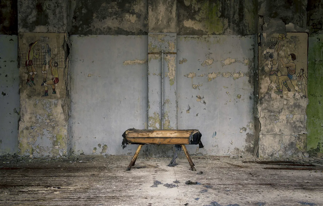 Photo wallpaper horse, sport, hall