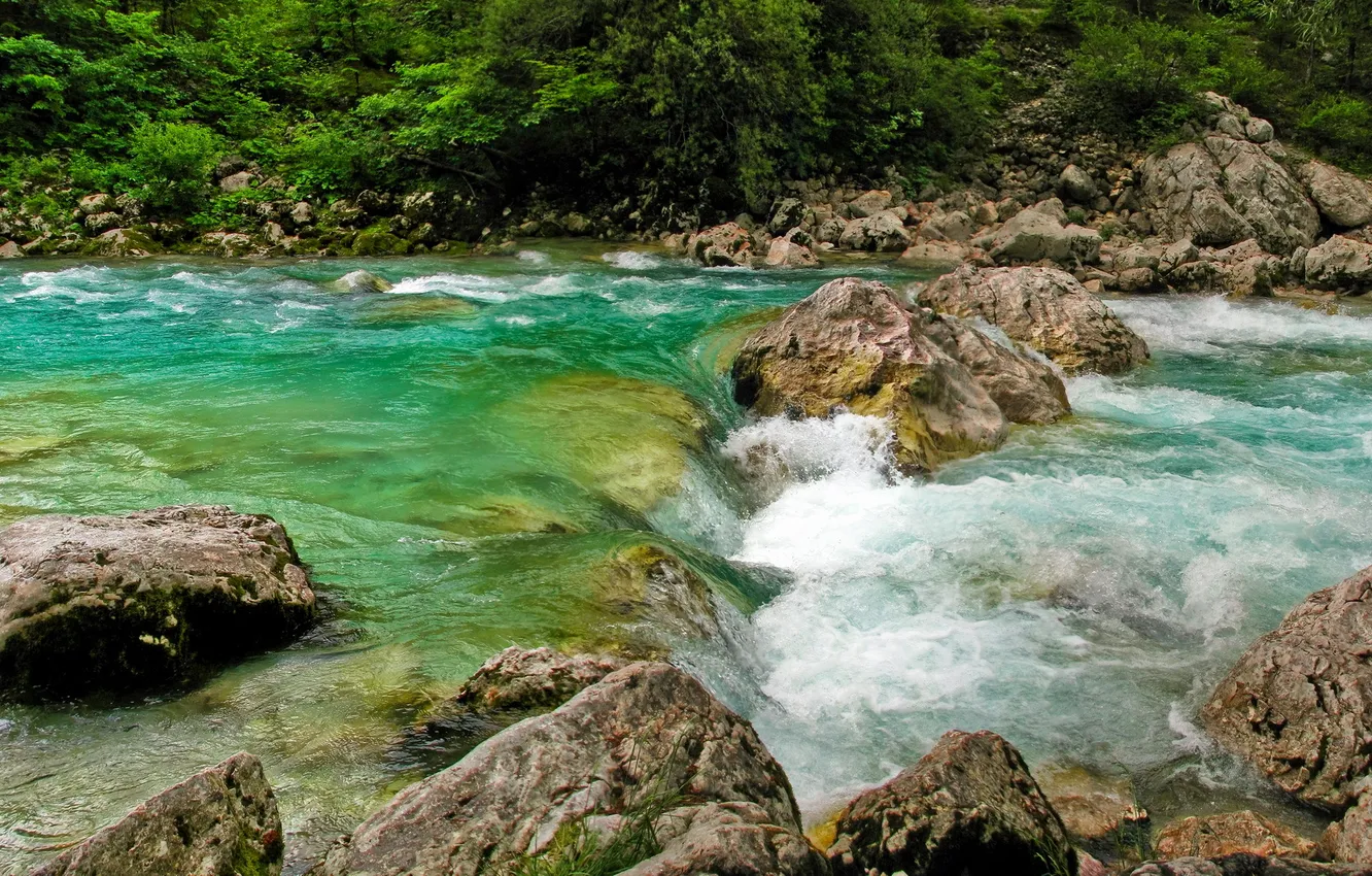 Photo wallpaper trees, river, stones, stream