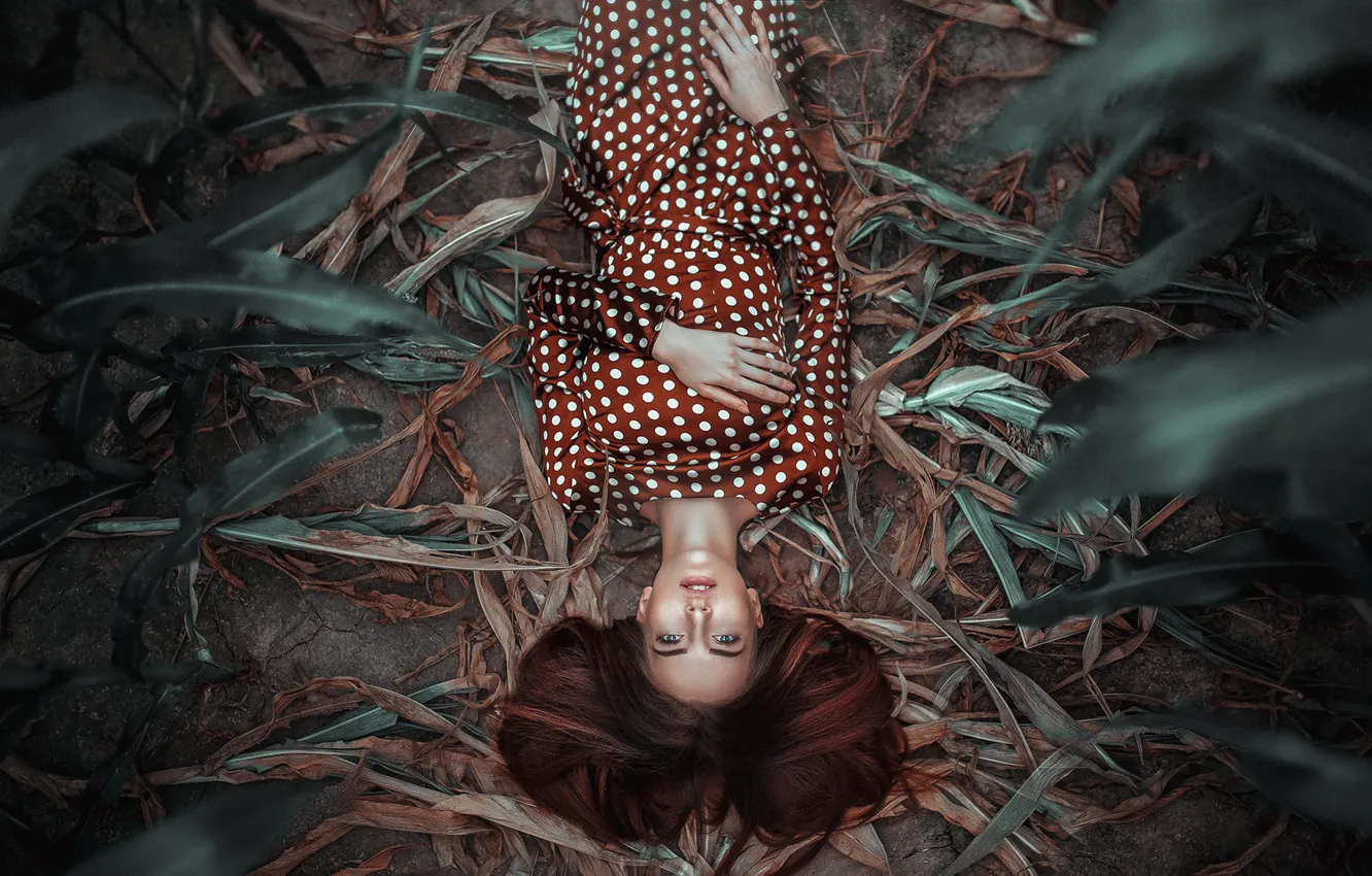 Photo wallpaper field, look, leaves, girl, pose, corn, hands, dress