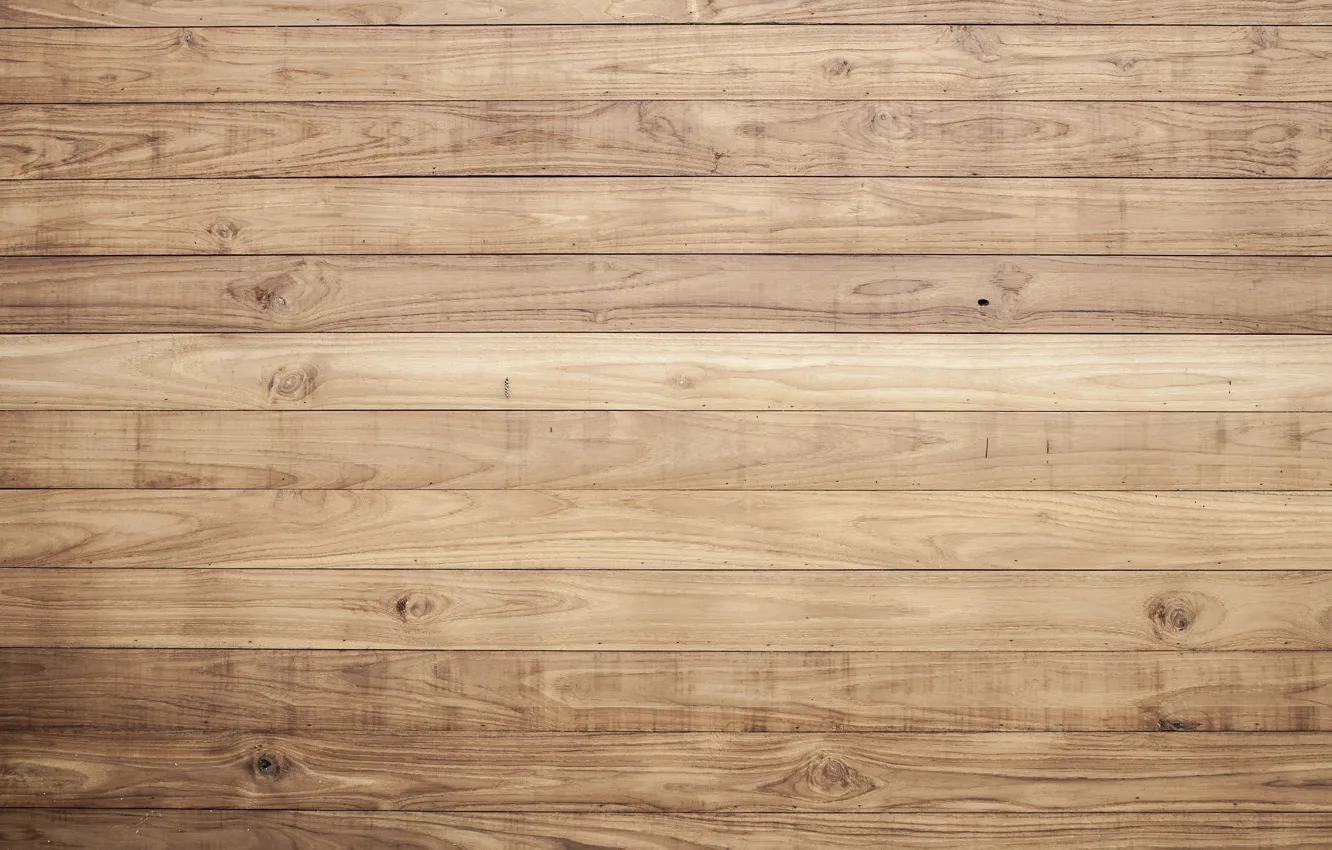 Photo wallpaper wood, natural, floating floor