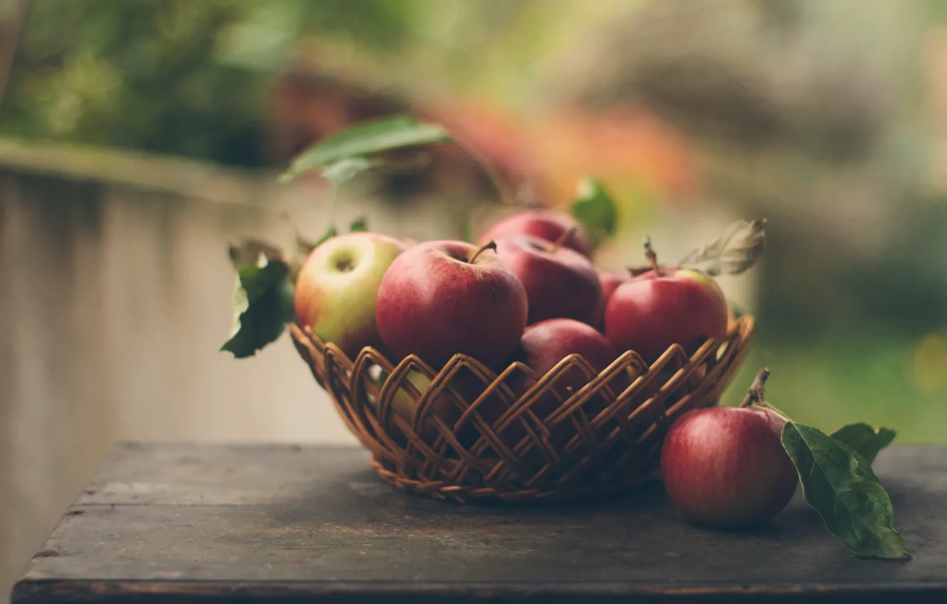 Photo wallpaper apples, fruit, Freshly picked apples