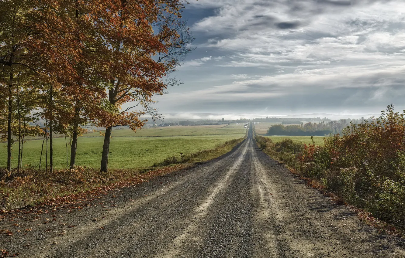 Photo wallpaper road, field, autumn, the sky, nature