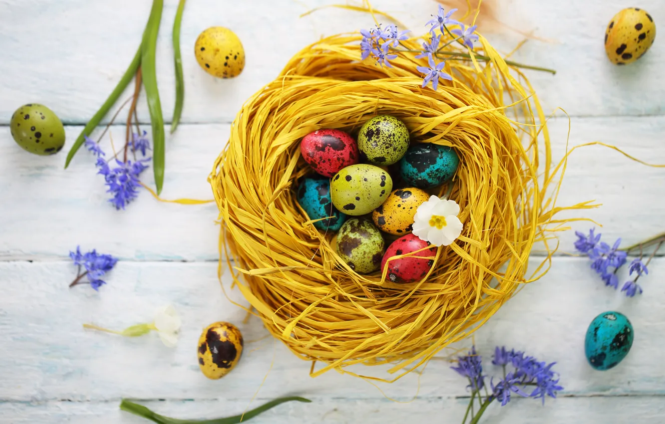 Photo wallpaper flowers, holiday, eggs, Easter, socket