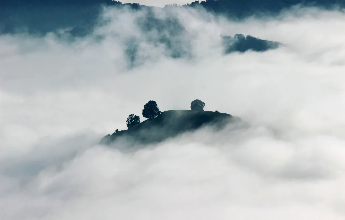 Photo wallpaper the sky, clouds, trees, landscape, mountains, nature, fog, horizon