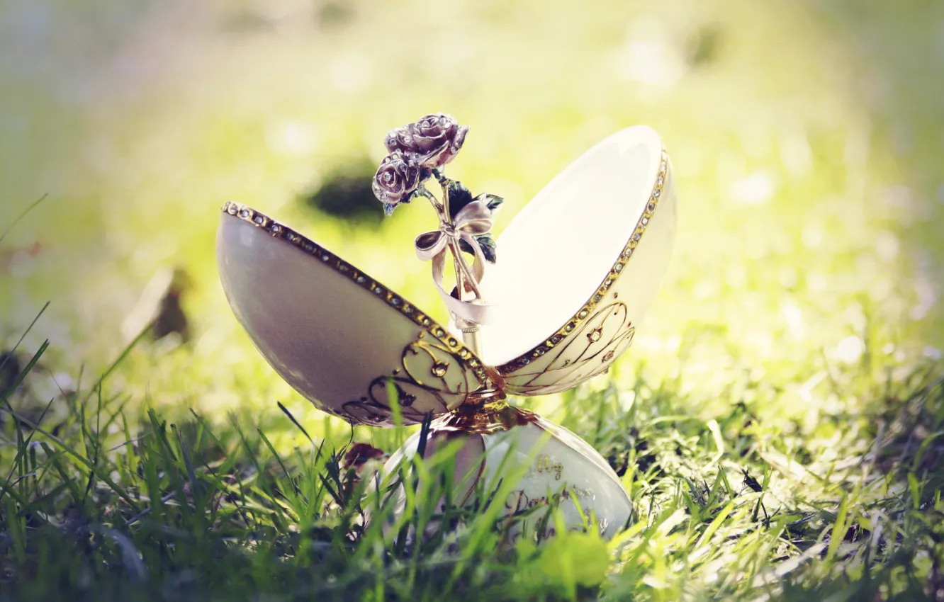 Photo wallpaper grass, flowers, green, roses