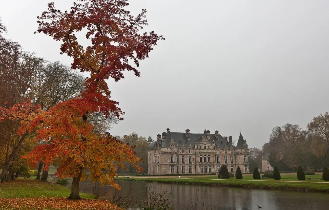 Photo wallpaper autumn, trees, nature, Palace