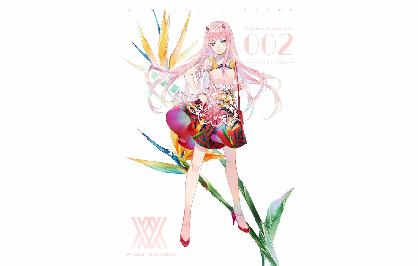 Photo wallpaper girl, anime, art, white background, Darling In The Frankxx, Cute in France