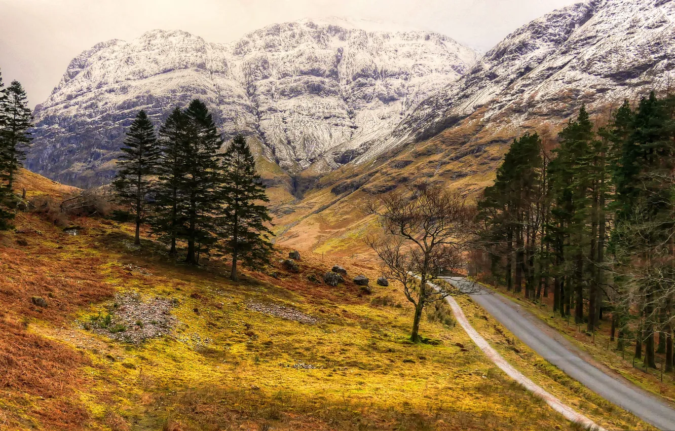 Photo wallpaper road, autumn, mountains