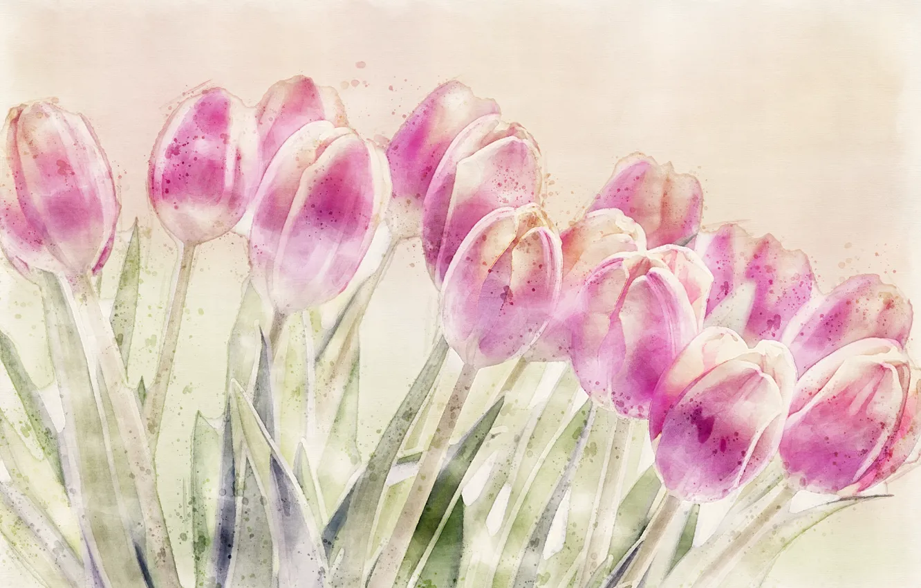 Photo wallpaper flowers, nature, tulips