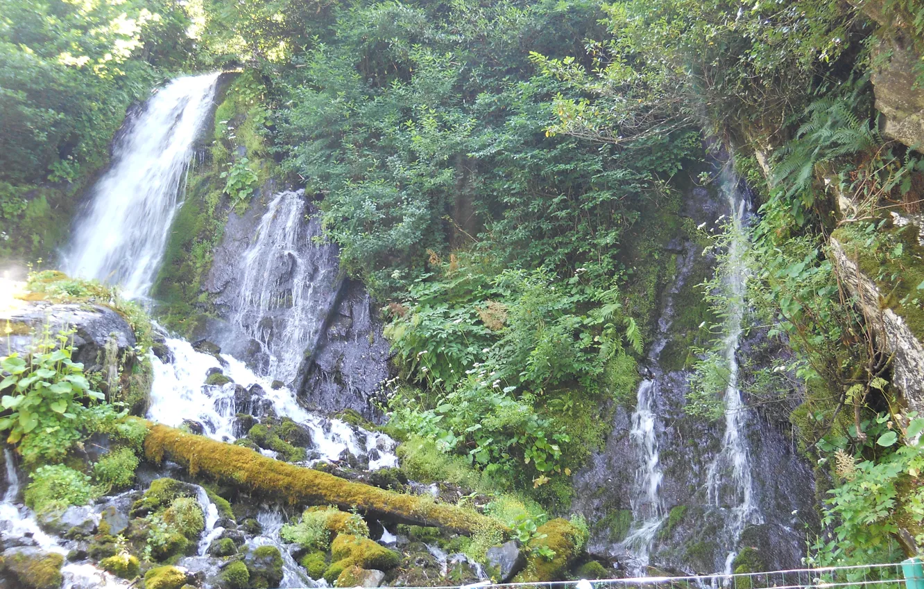 Photo wallpaper greens, water, waterfall, Abkhazia