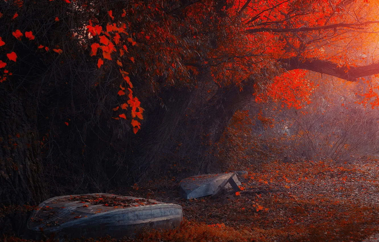 Photo wallpaper autumn, trees, boat