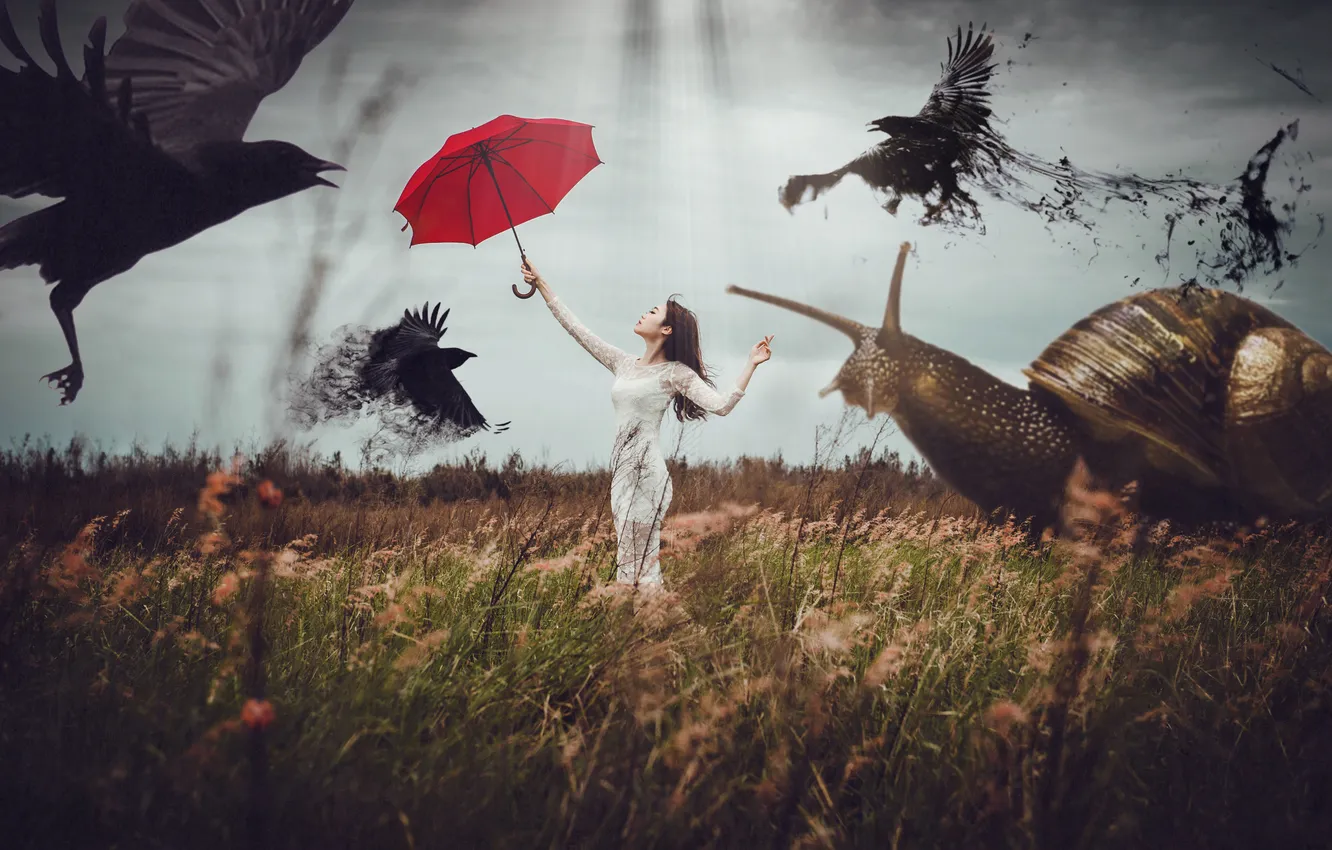 Photo wallpaper field, grass, girl, hair, snail, dress, crows, red umbrella