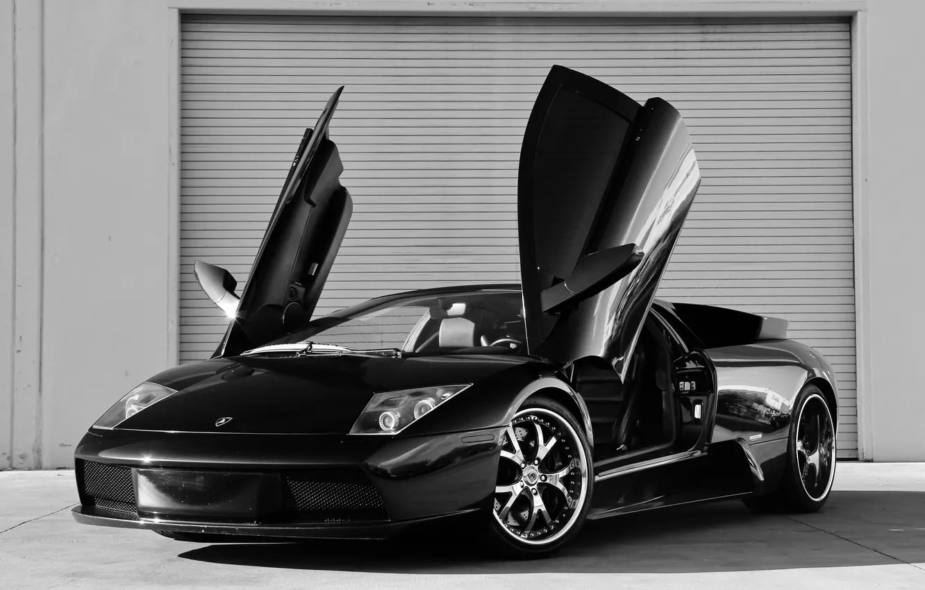 Photo wallpaper black, Lamborghini, black, murcielago, door, lp640, black and white photo, Lamborghini