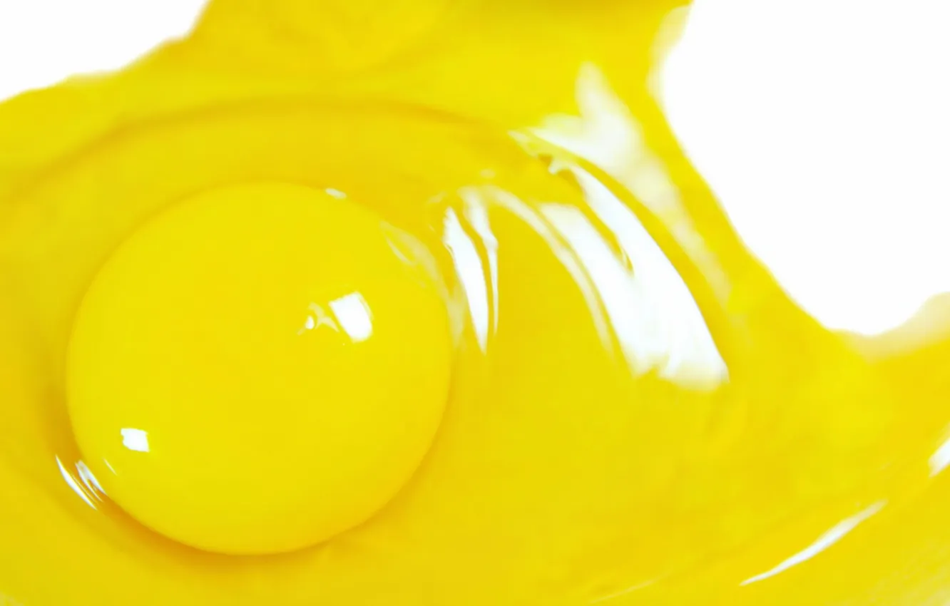 Photo wallpaper macro, the yolk, egg