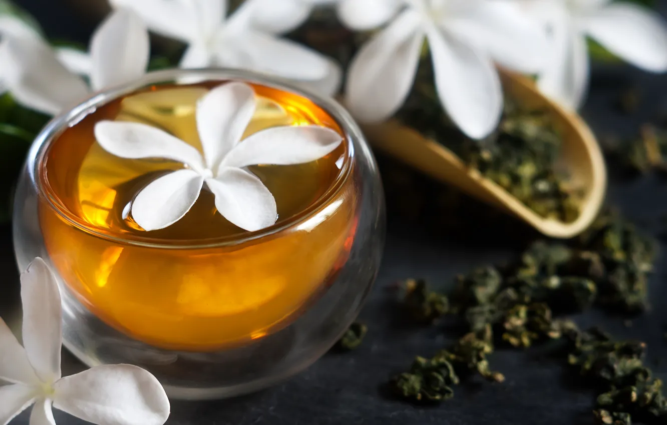 Photo wallpaper flower, tea, drink, flower, drink, Jasmine, tea, Jasmine