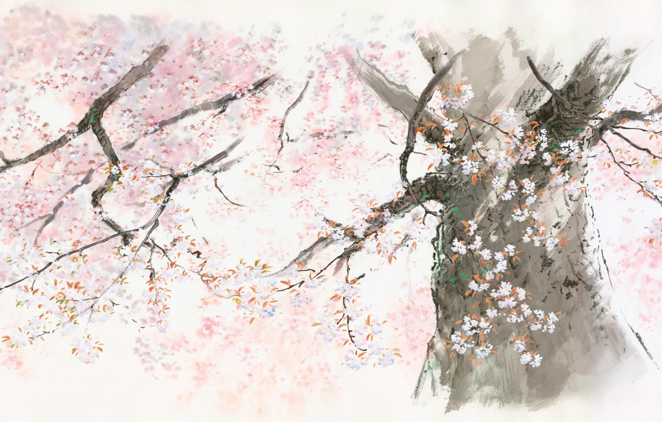 Photo wallpaper tree, Ghibli, the tale of the Princess Kaguya, Isao Takahata, kaguya hime no monogatari