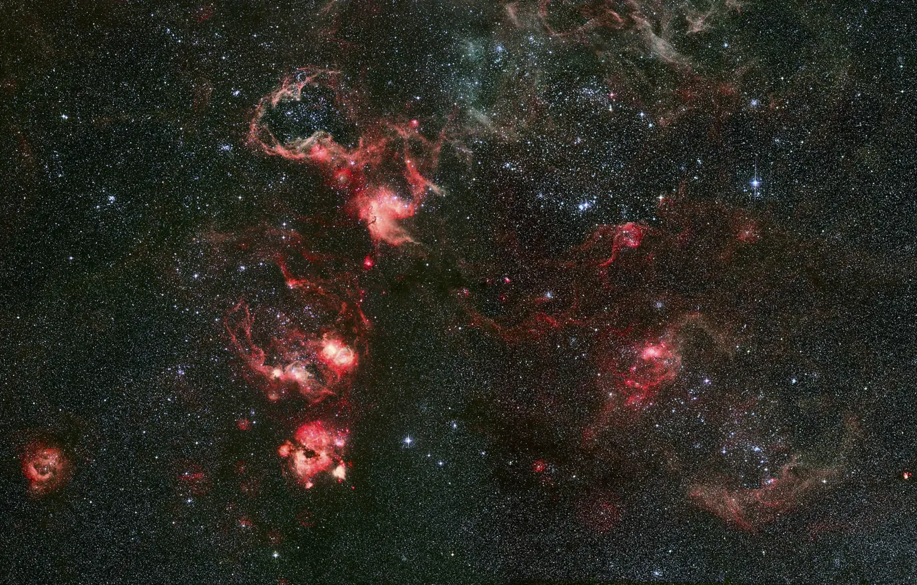 Photo wallpaper nebula, constellation, Gold Fish, Tarantula, NGC 2070