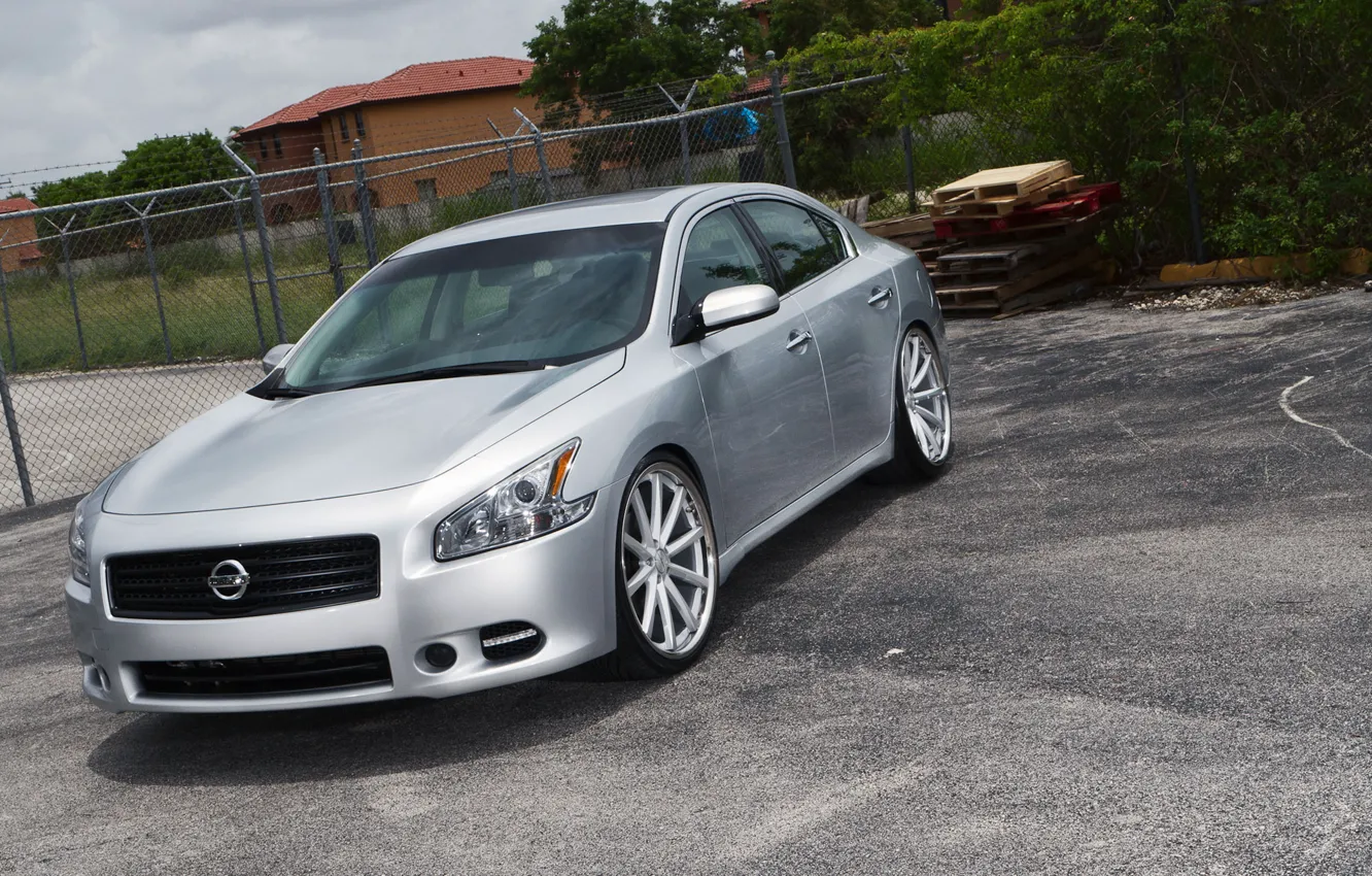 Photo wallpaper Nissan, Nissan, Maxim, Maxima