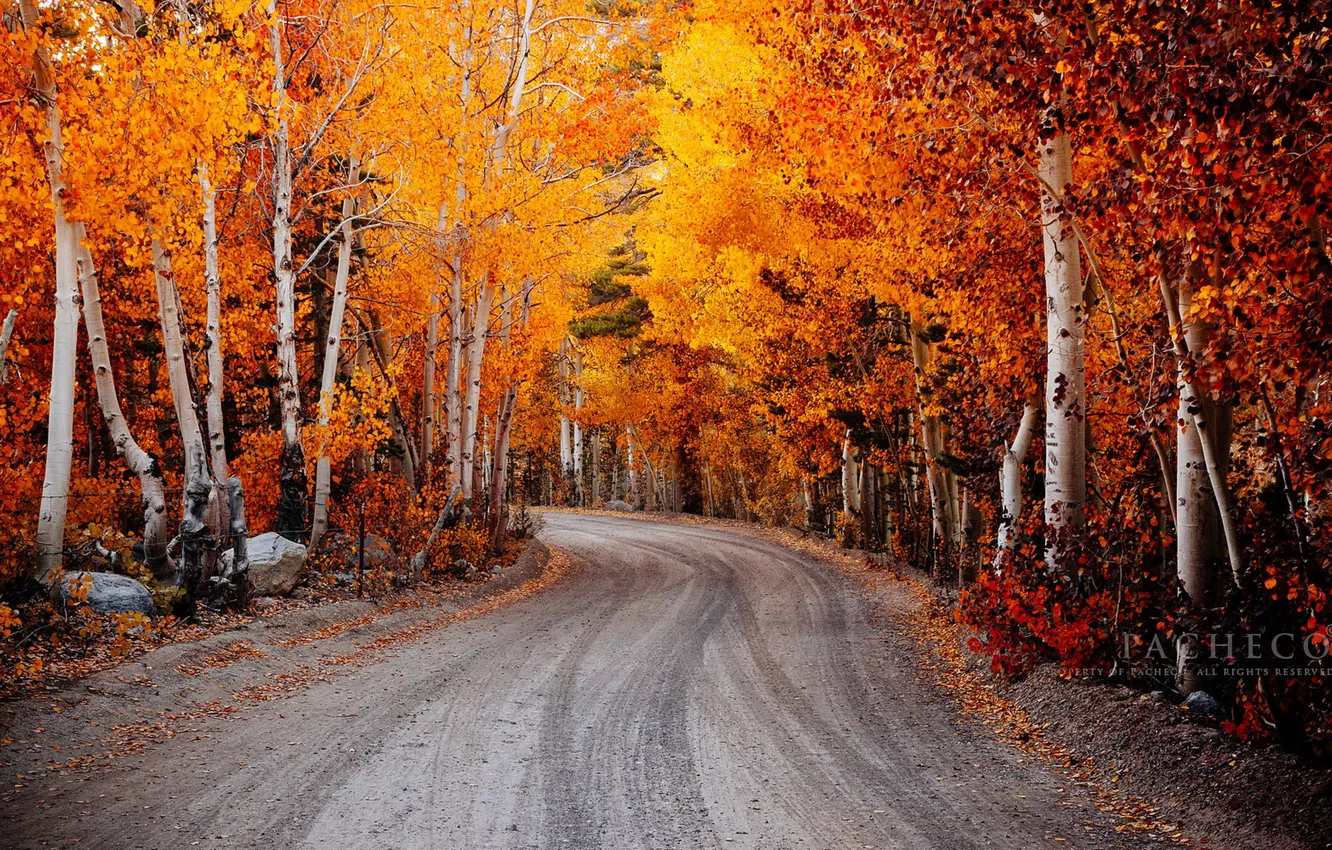 Photo wallpaper California, autumn, bishop, North Lake