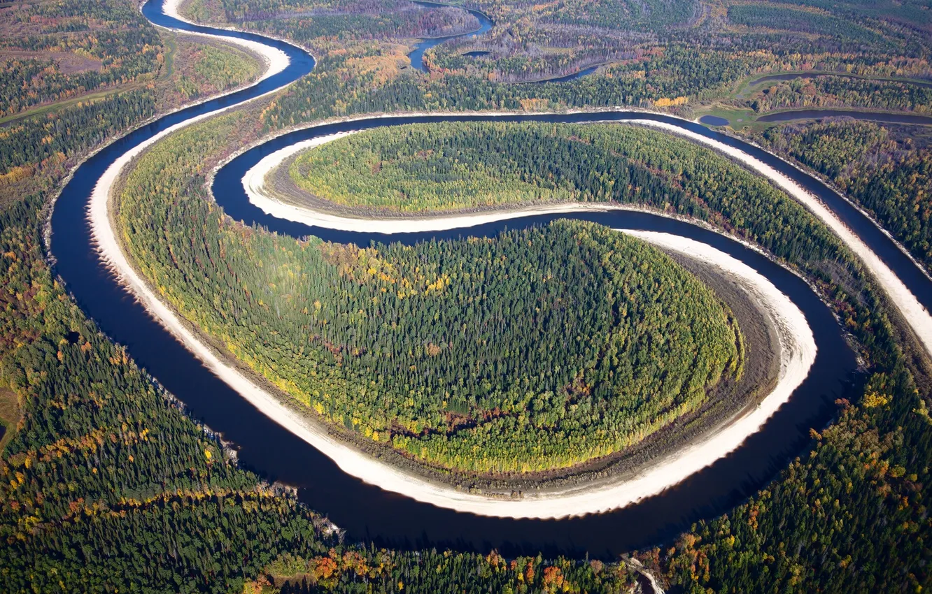 Photo wallpaper forest, trees, landscape, nature, river, plant, valley, the view from the top