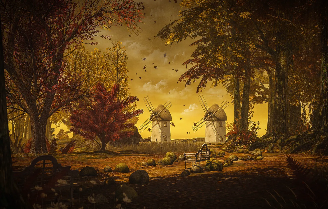 Photo wallpaper autumn, the sky, clouds, light, trees, landscape, sunset, nature