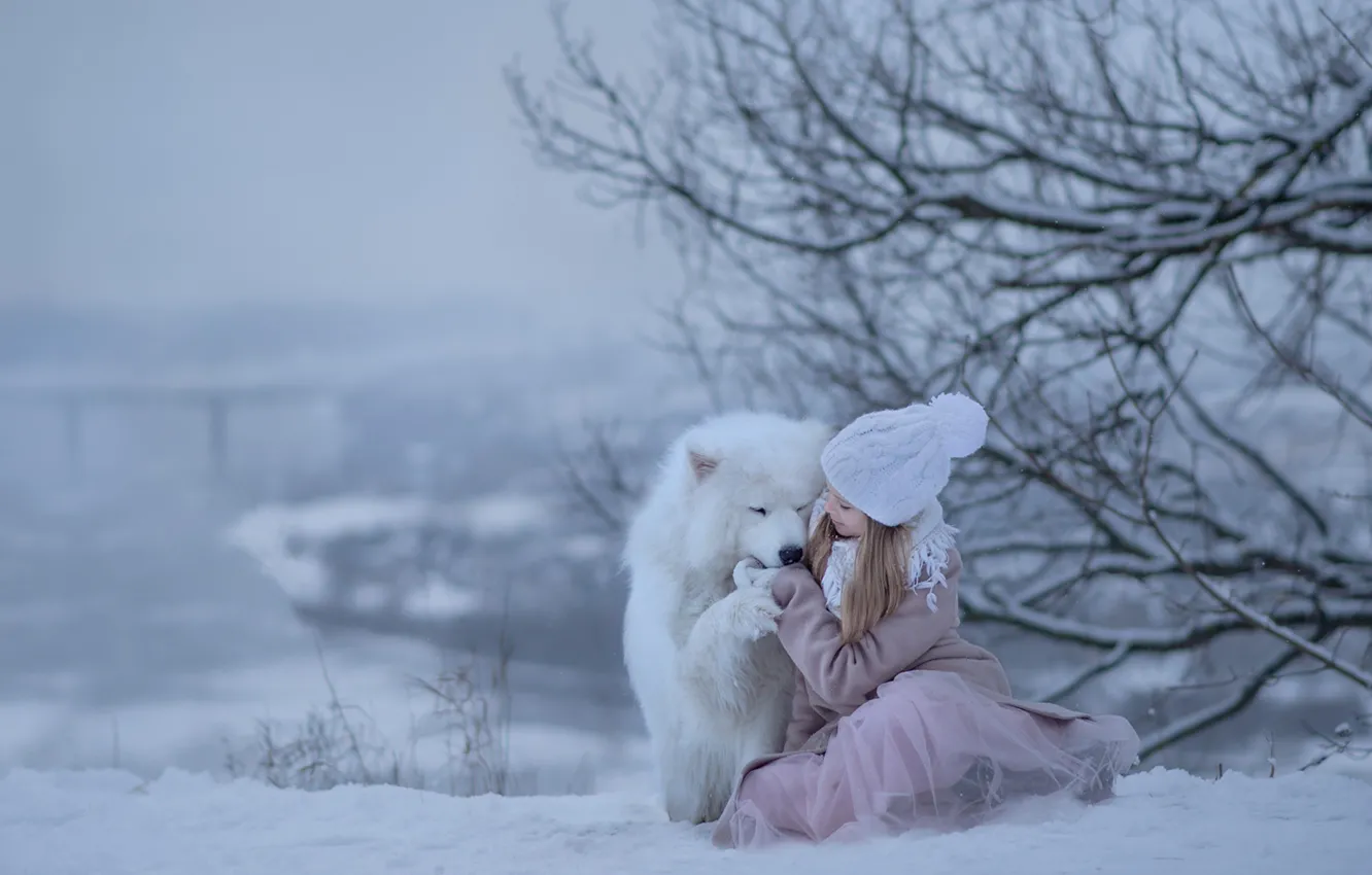 Photo wallpaper winter, snow, joy, dog, girl, Samoyed