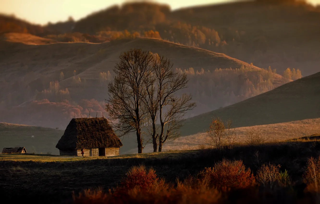 Photo wallpaper autumn, trees, landscape, nature, hills, home, forest, Romania
