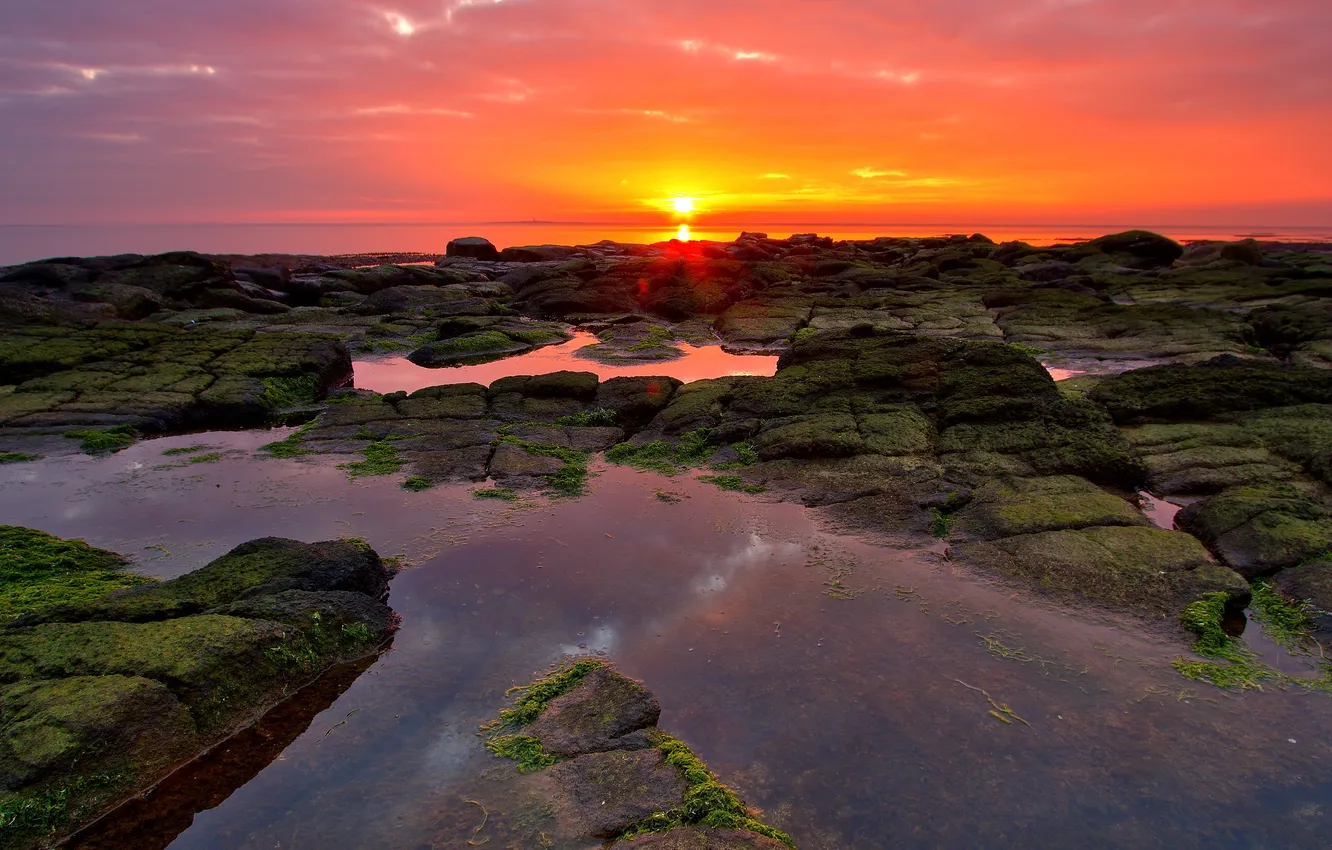 Photo wallpaper sea, the sky, sunset