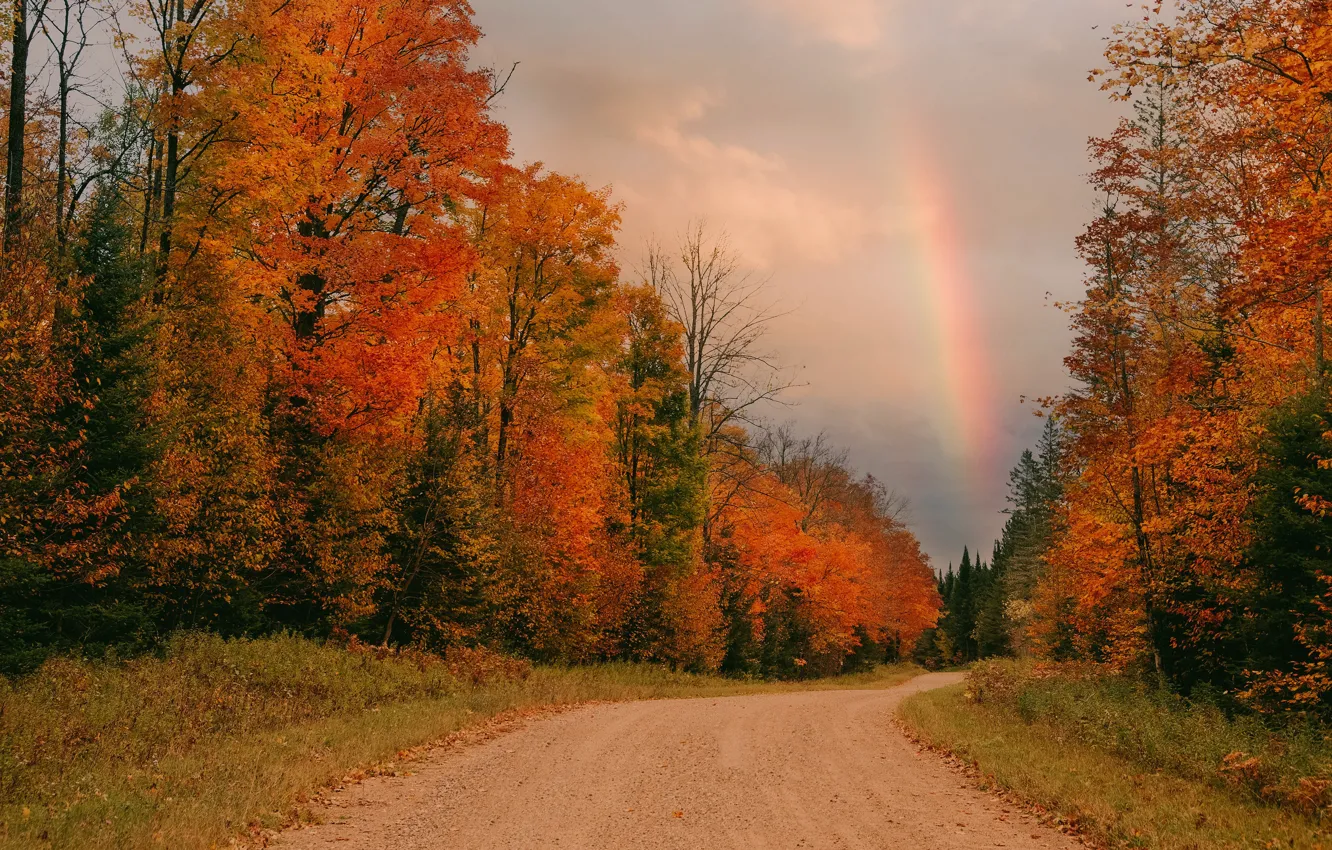 Photo wallpaper road, autumn, rainbow
