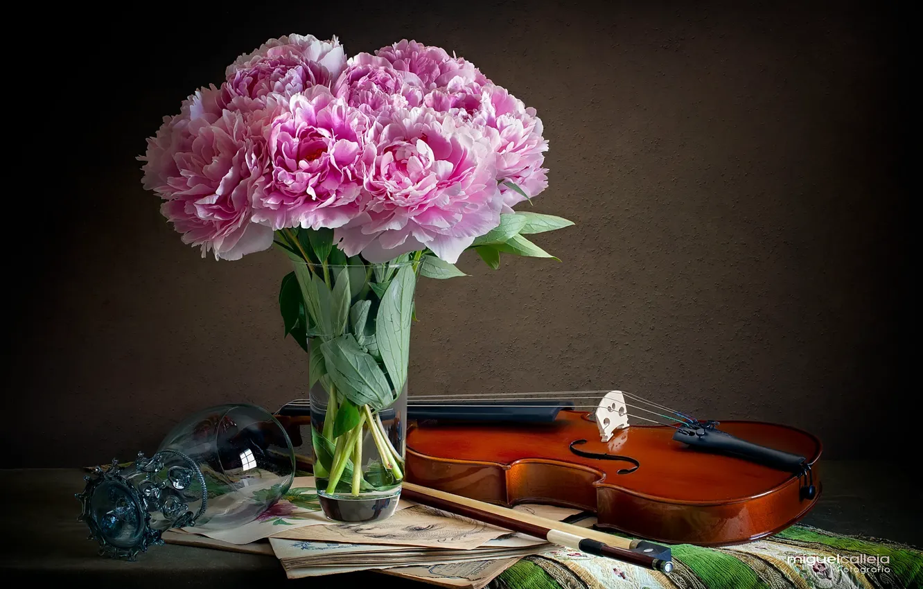 Photo wallpaper notes, violin, glass, still life, bow, peonies
