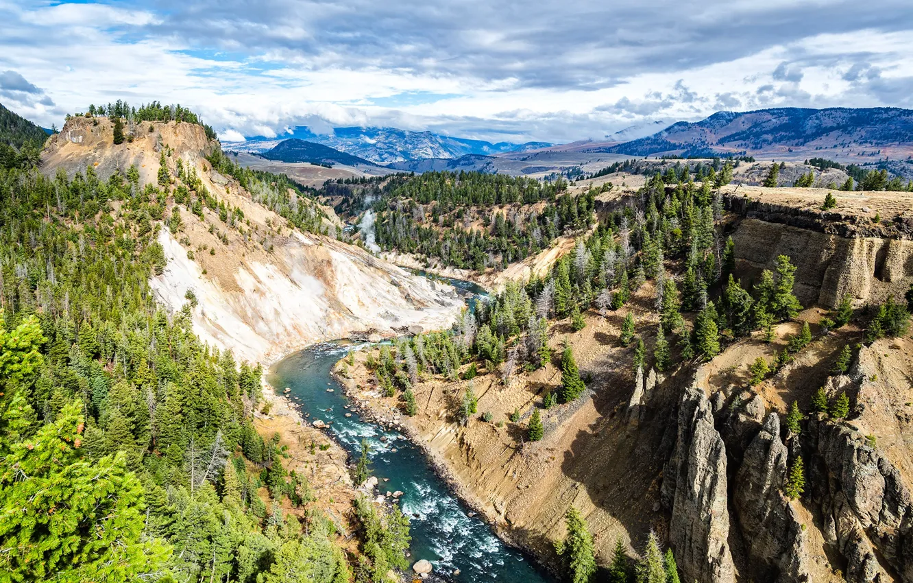 Photo wallpaper forest, the sky, the sun, clouds, trees, mountains, river, stones