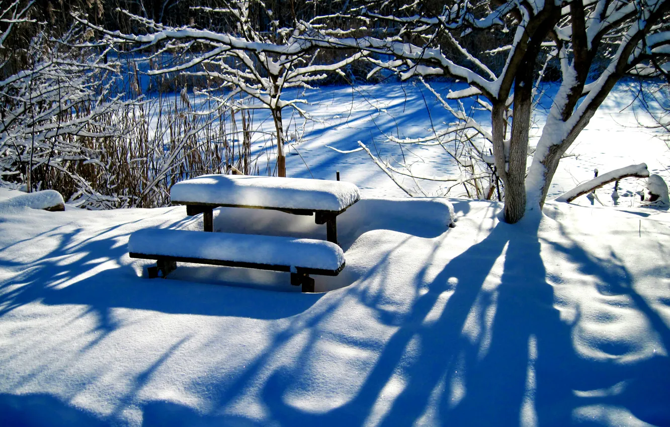 Photo wallpaper winter, snow, trees, table, yard, bench