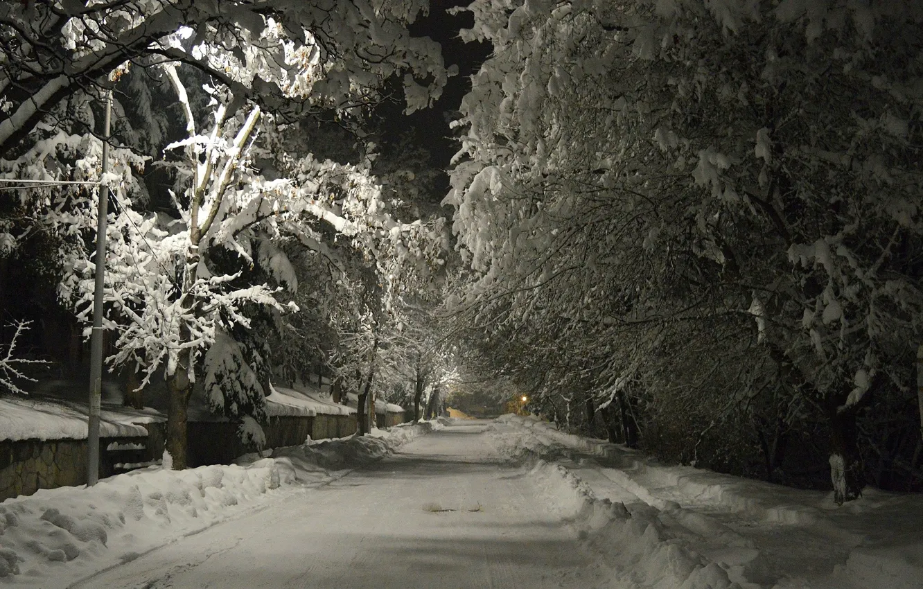 Photo wallpaper winter, road, snow, night, frost, trees, night, winter
