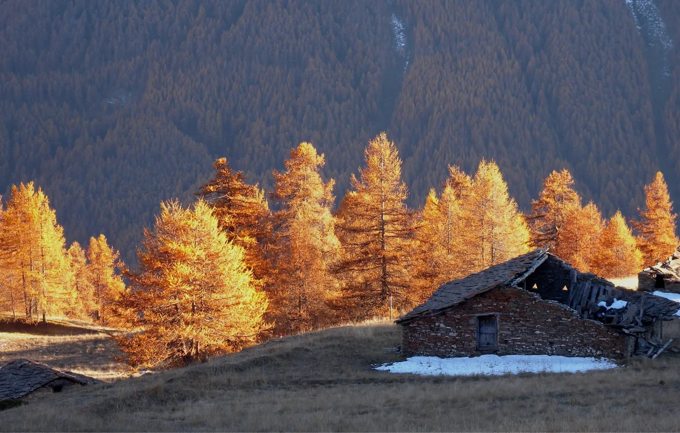 Photo wallpaper trees, mountains, house
